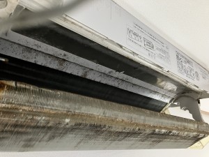 IMG_4030 IMG_40301