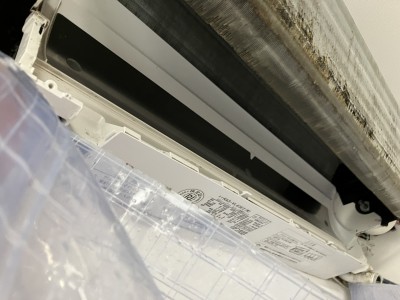 IMG_4036 IMG_40361