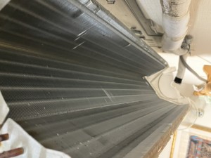 IMG_4055 IMG_40552