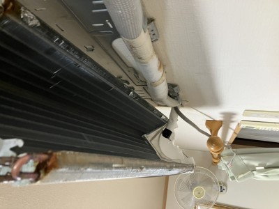 IMG_4060 IMG_4060