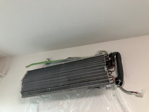 IMG_4222 IMG_4222