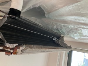 IMG_4223 IMG_4223