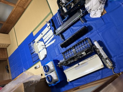IMG_4238 IMG_42381