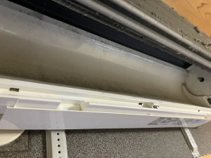 IMG_4244 IMG_42442