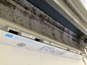 IMG_4278 IMG_42781