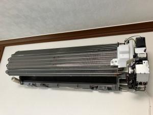 IMG_42912