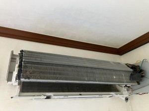 IMG_4299 IMG_42992