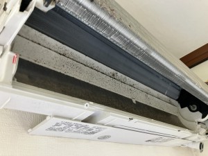 IMG_4300 IMG_43002