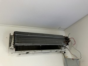 IMG_43251