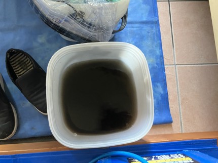 IMG_4354 IMG_43542