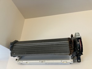 IMG_4382 IMG_43821