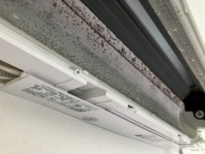 IMG_4456 IMG_44562