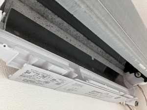 IMG_4469 IMG_44692