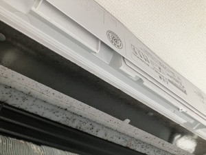 IMG_4470 IMG_44702