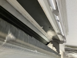 IMG_4668 IMG_46682