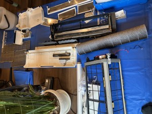 IMG_4679 IMG_4679
