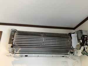 IMG_4908 IMG_49081