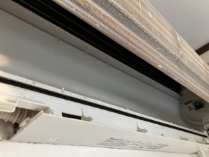 IMG_4909 IMG_49091
