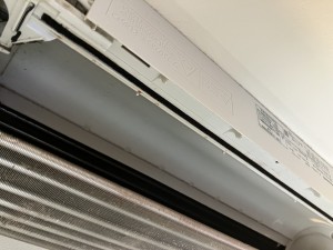 IMG_4910 IMG_4910