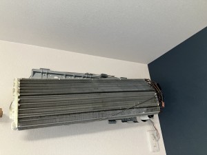 IMG_49512