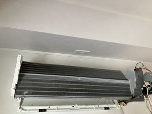 IMG_5084 IMG_5084