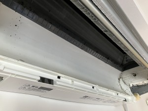 IMG_5085 IMG_50851