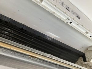 IMG_5086 IMG_5086