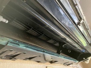 IMG_52983