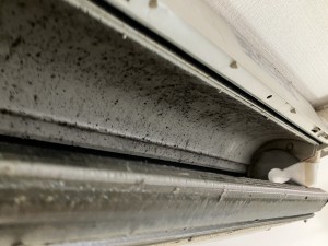 IMG_5333 IMG_53332