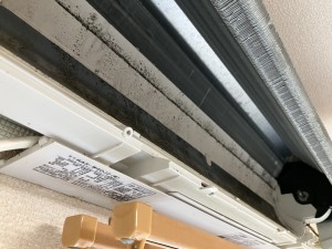 IMG_5344 IMG_5344