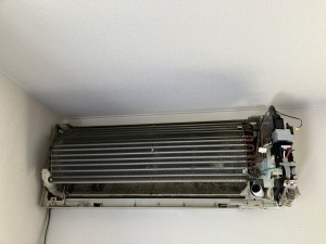 IMG_55072