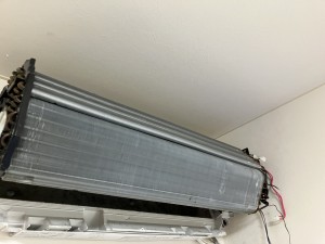 IMG_5677 IMG_56772