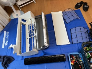 IMG_56911