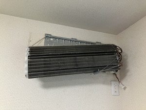 IMG_5809 IMG_58091