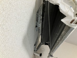 IMG_5810 (1) IMG_5810-1