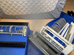 IMG_5833 IMG_58332