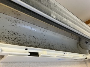 IMG_58883