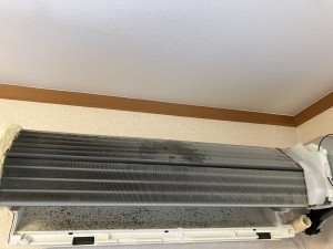 IMG_58903