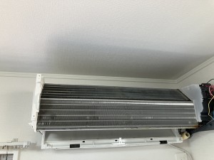 IMG_5936 IMG_59364