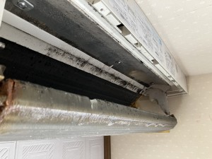 IMG_5984 IMG_59841