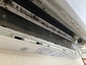 IMG_5986 IMG_59862