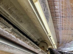 IMG_60432