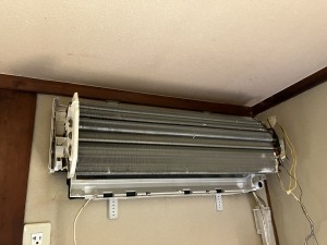 IMG_6067-1