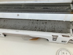 IMG_63791