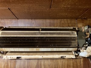 IMG_6391-1