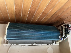 IMG_65402