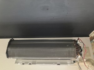 IMG_6705-1