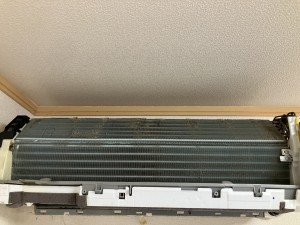 IMG_92661