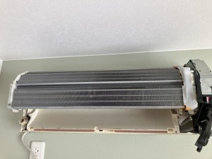 IMG_93161