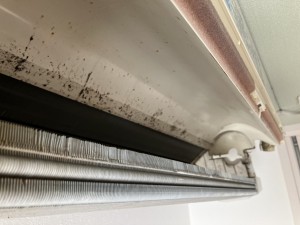 IMG_93171